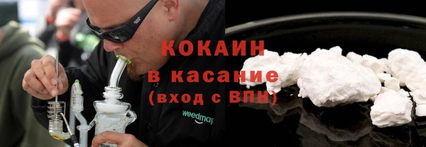 амф Гусь-Хрустальный
