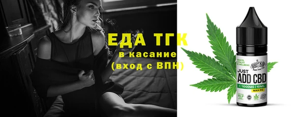 амф Гусь-Хрустальный