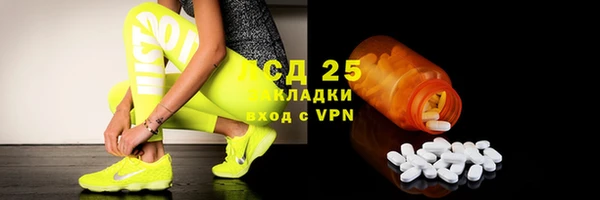 амф Гусь-Хрустальный