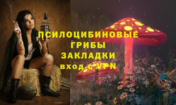 амф Гусь-Хрустальный