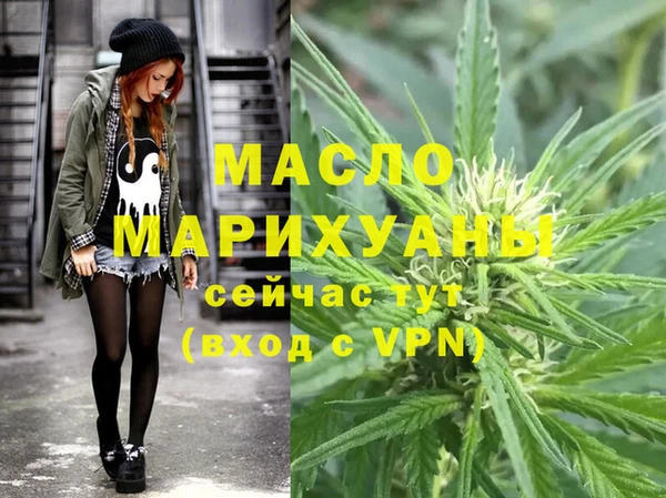 амф Гусь-Хрустальный