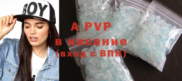 амф Гусь-Хрустальный