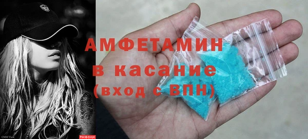 амф Гусь-Хрустальный