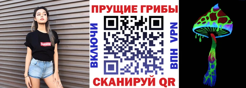 kraken онион  darknet формула  Галлюциногенные грибы мухоморы  Спасск-Дальний 